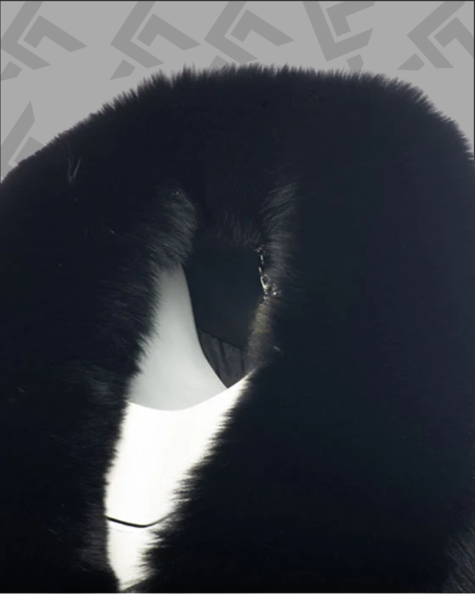 Aria Black Long Cashmere Blend Coat with Fox Fur for Women – Luxury Winter Coat|